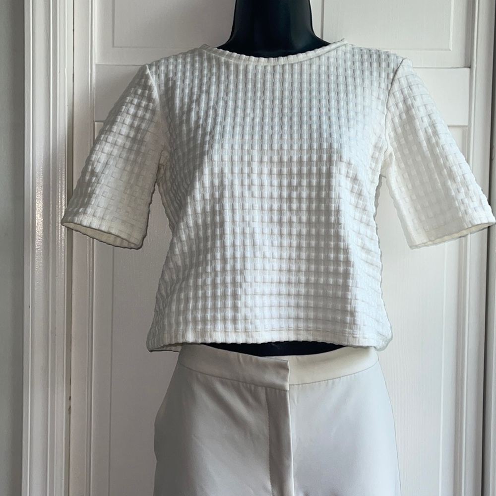 Theory white crop top